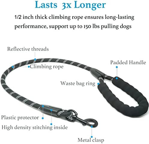 Dual Dog Leash with 360 Swivel No Tangle Shock Absorbing Bungee
