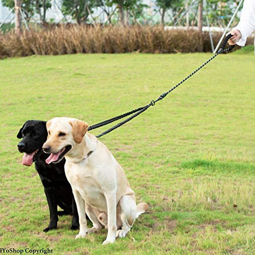 Dual Dog Leash with 360 Swivel No Tangle Shock Absorbing Bungee