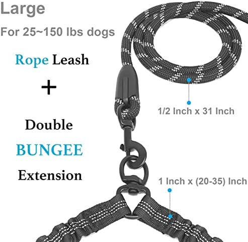 Dual Dog Leash with 360 Swivel No Tangle Shock Absorbing Bungee