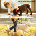 2PCS Folding Portable Outdoor Pet Bowl and Drinking Cup