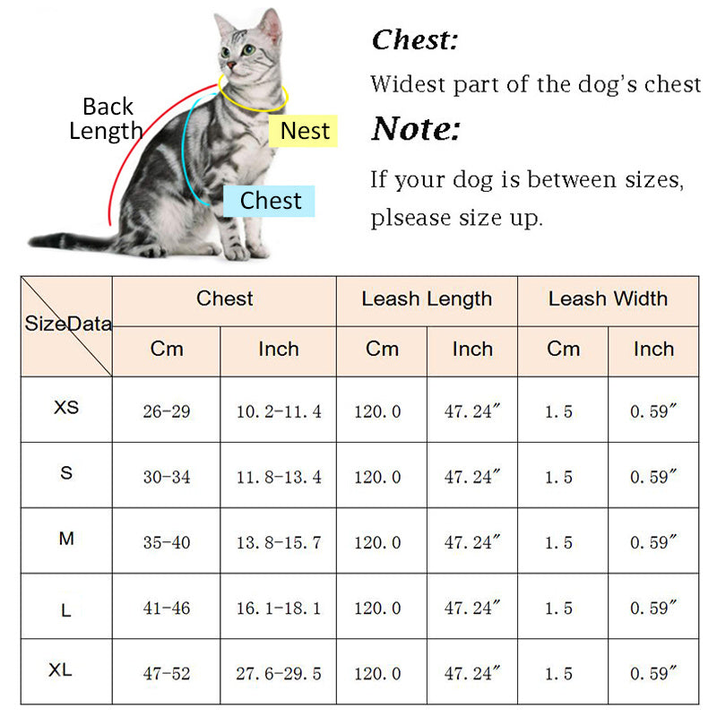 Fashion Plaid Cat Harness and Leash Set Mesh Pet Harness Accessories