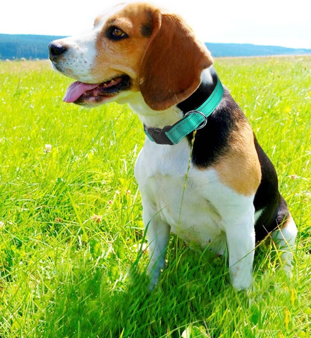 Reflective Soft Neoprene Padded Breathable Nylon Dog Collar Adjustable