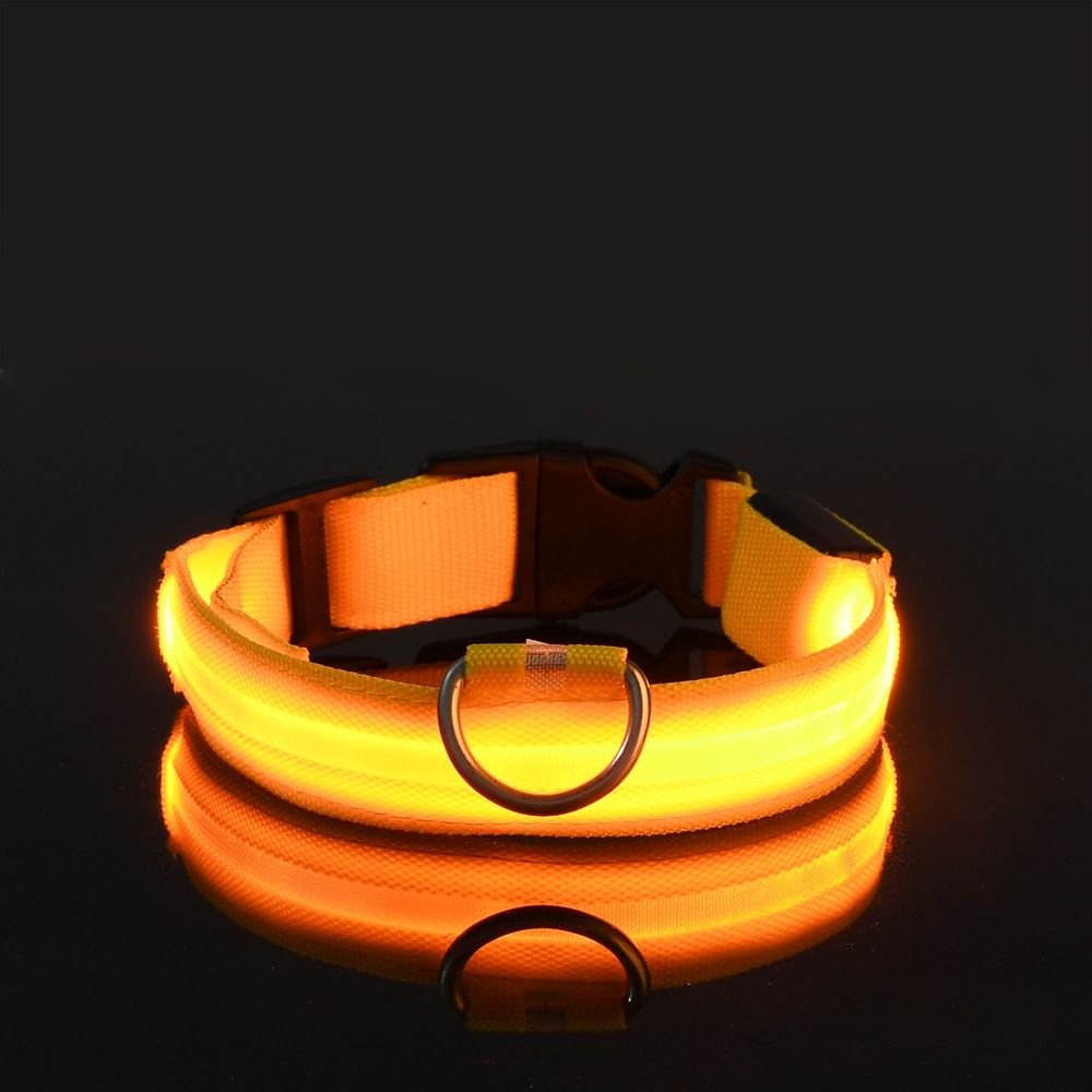 Glow-In-The-Dark LED Pet Collar For Dog & Cat - USB