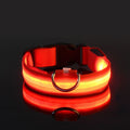 Glow-In-The-Dark LED Pet Collar For Dog & Cat - USB