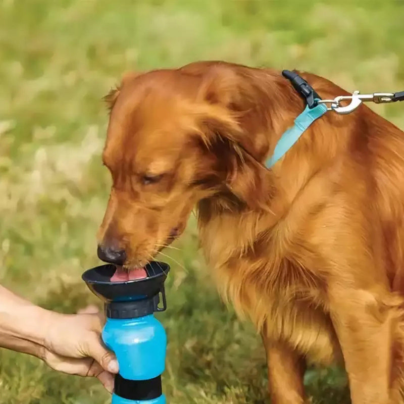 1pc Plastic Dog & Cat Water Bottle Mug 500ml For Outdoor Travel