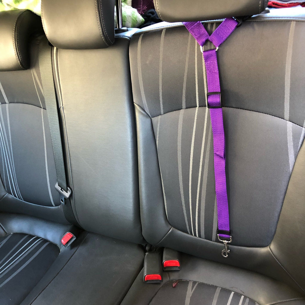 2 In 1 Pet Car Seat Belt Nylon Lead Leash Backseat Safety Belt Adjustable For Dog