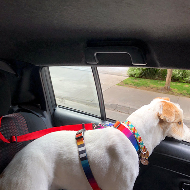 2 In 1 Pet Car Seat Belt Nylon Lead Leash Backseat Safety Belt Adjustable For Dog
