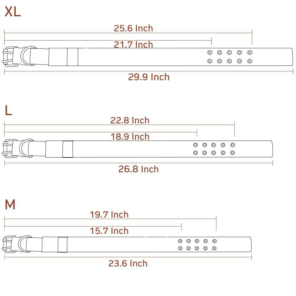 Super Strong Dog Collar with D-Ring & Buckle