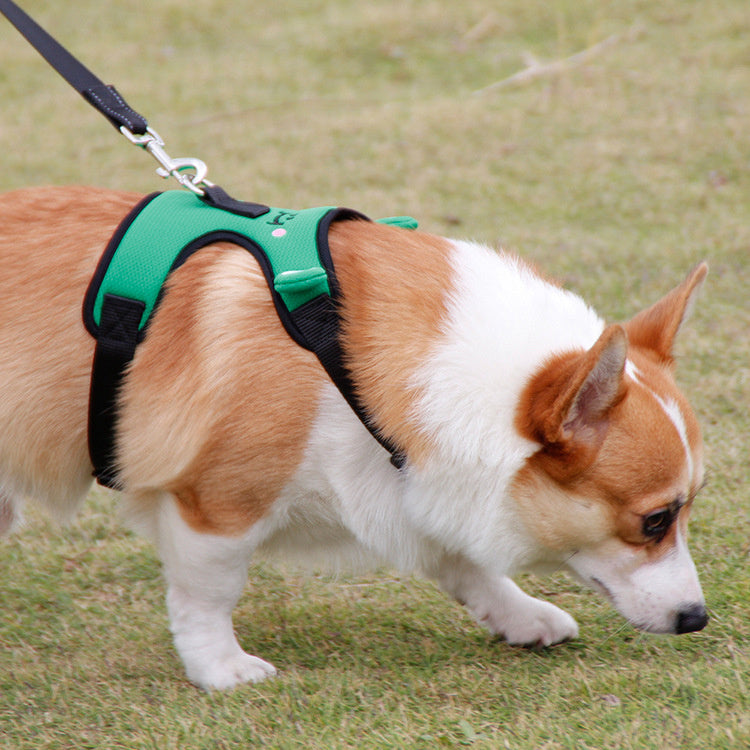 Mesh Breathable Dog Harness Set with Retractable Leash