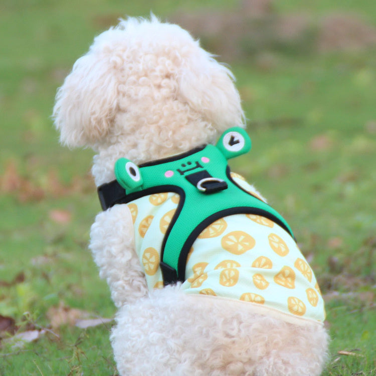 Mesh Breathable Dog Harness Set with Retractable Leash