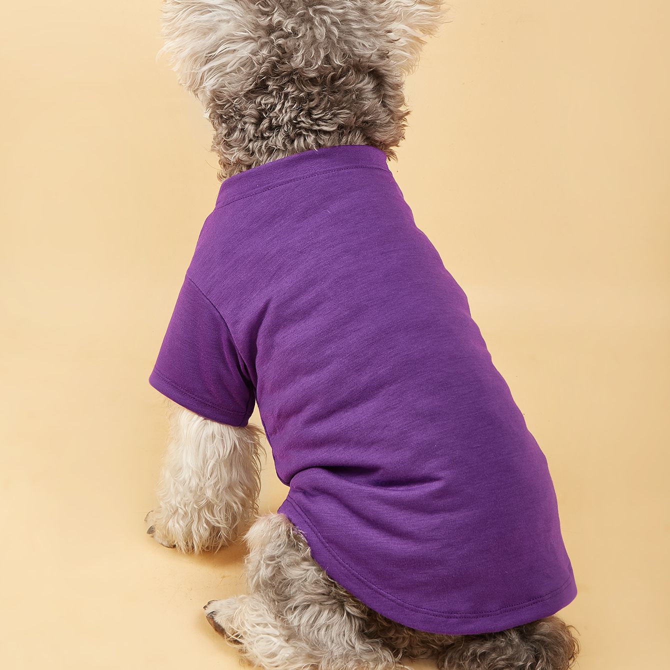 Letter Pattern Breathable Pet T-Shirts for Dogs & Cats