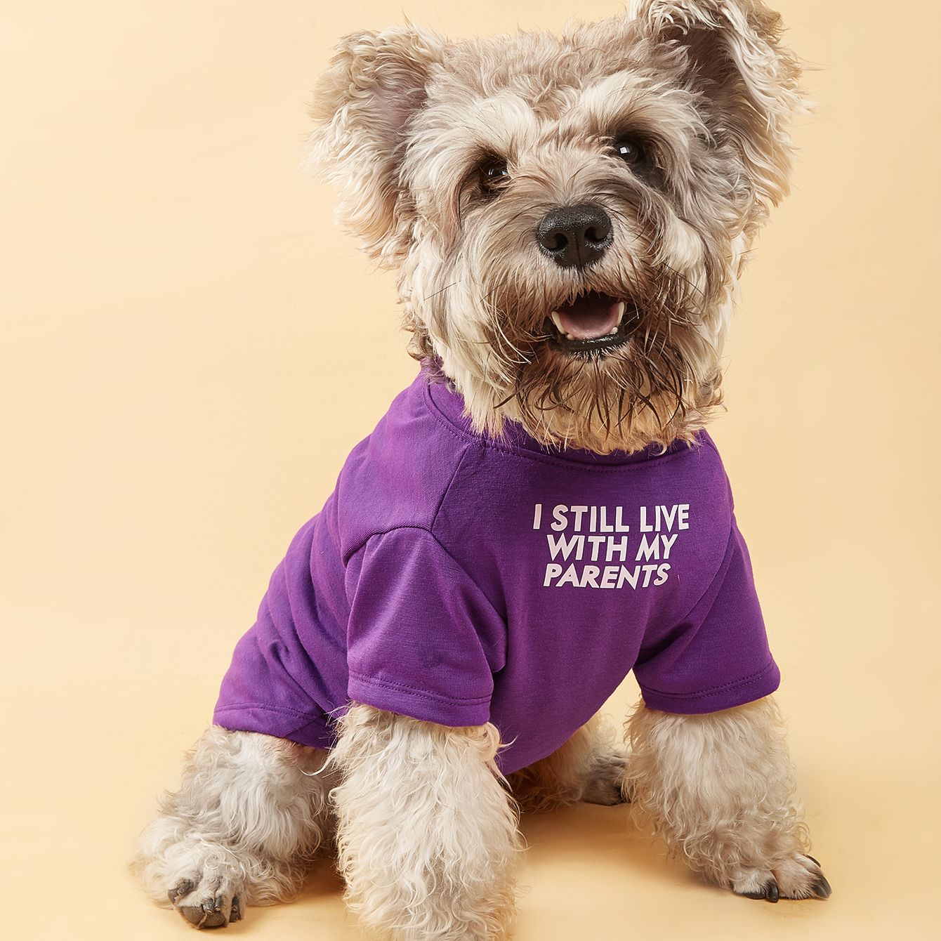 Letter Pattern Breathable Pet T-Shirts for Dogs & Cats
