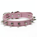 Anti-Bit Durable Dog Rivet Collar for Puppies