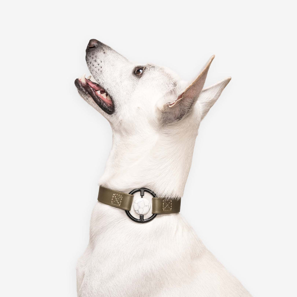 Luxury Crystal Healing Collar for Pets