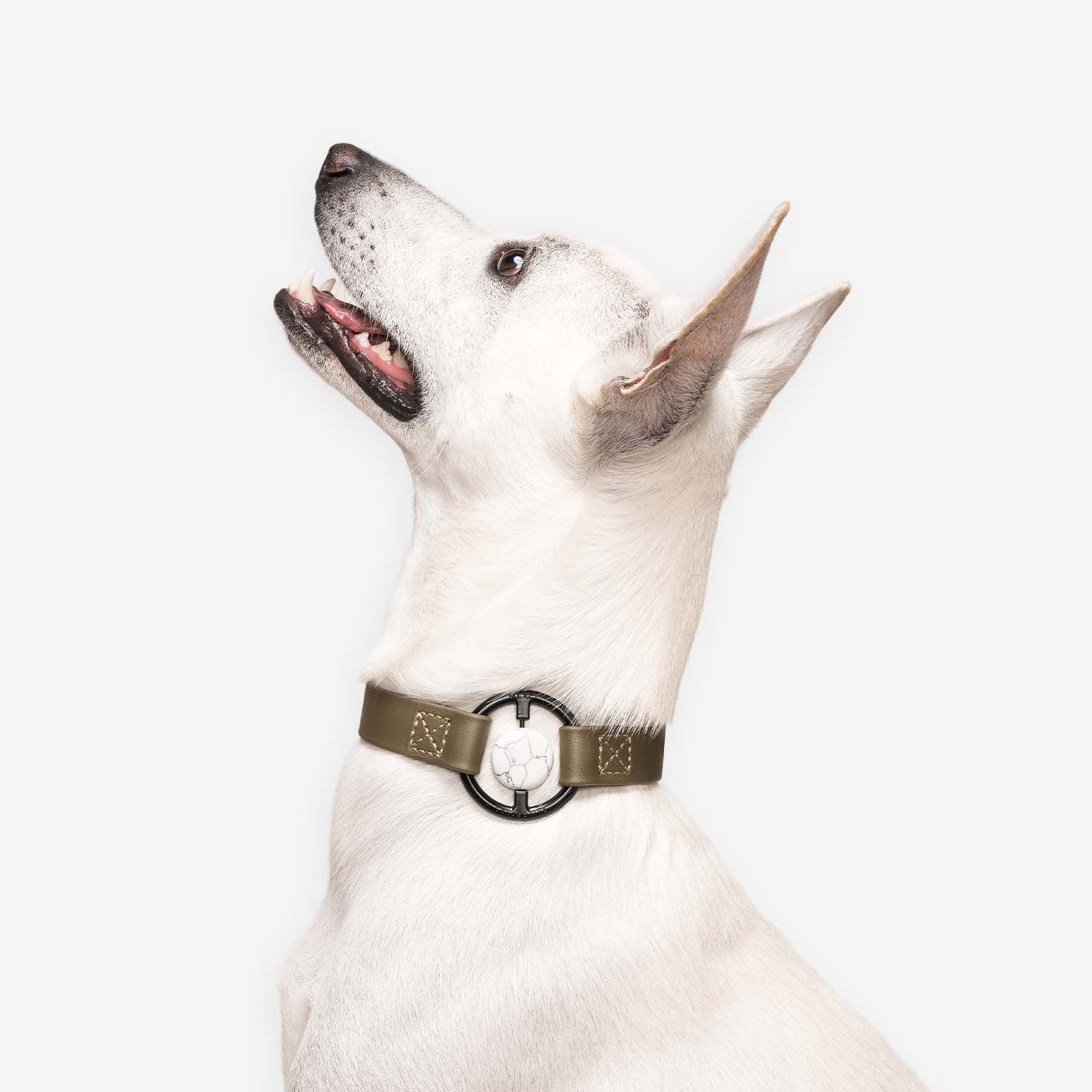 Luxury Crystal Healing Collar for Pets