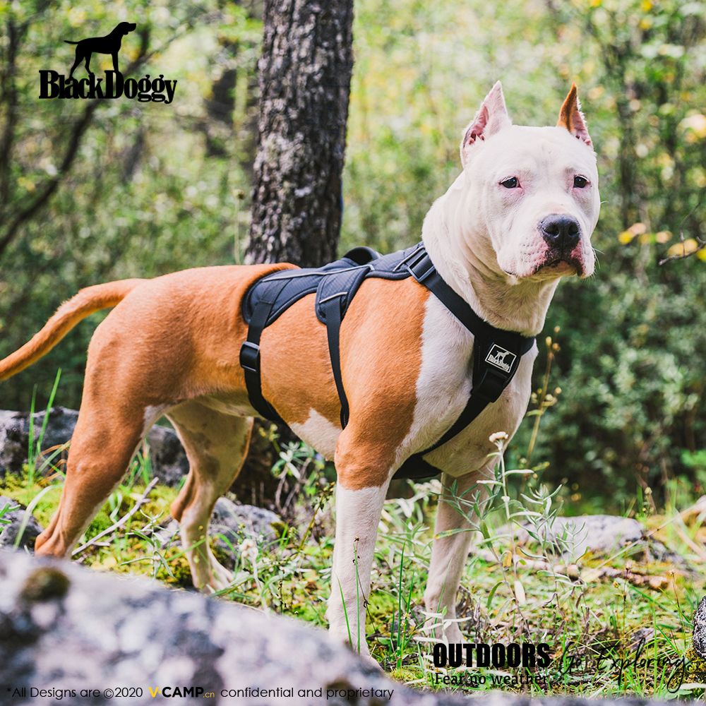 Multi-Use Support Dog Harness, Hiking and Trail Running, Service and Working, Everyday Wear