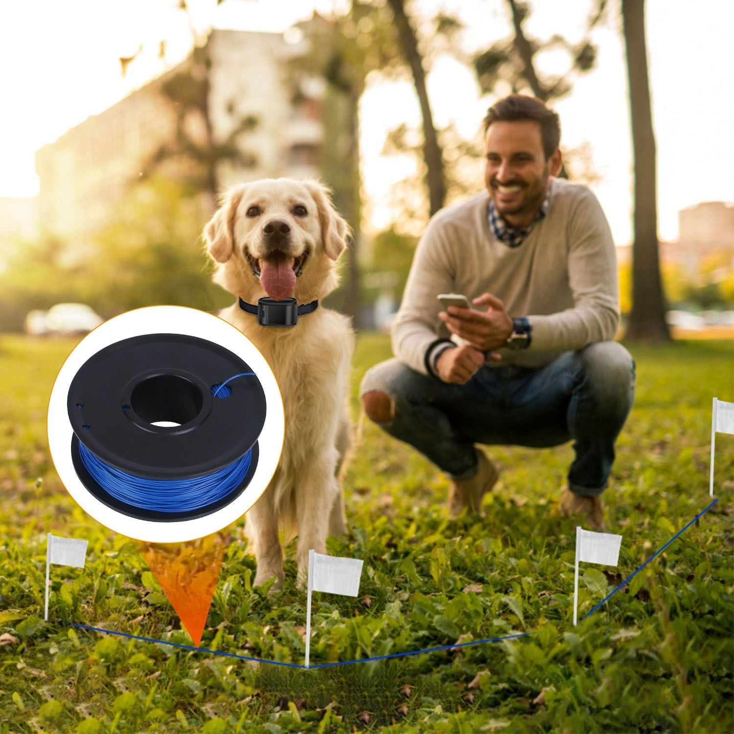 Electric Dog Fence System