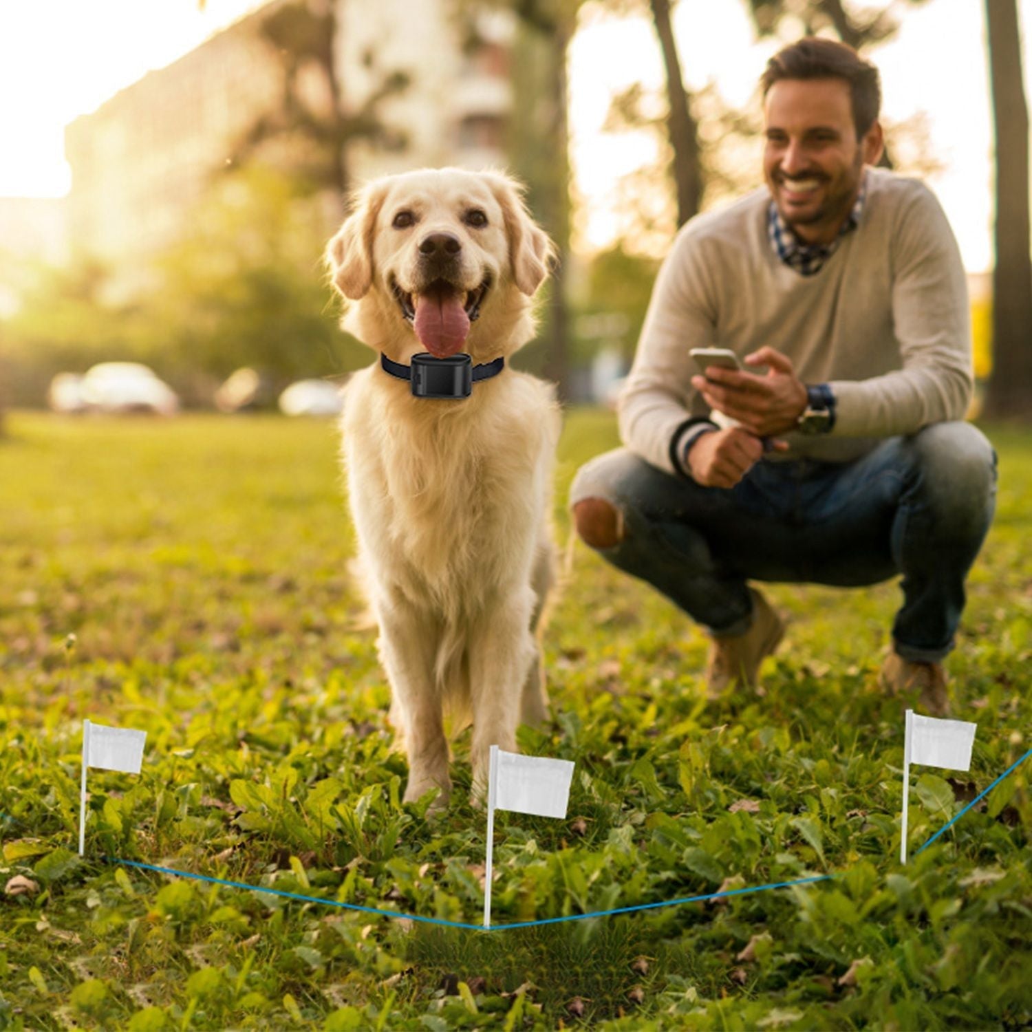 Electric Dog Fence System