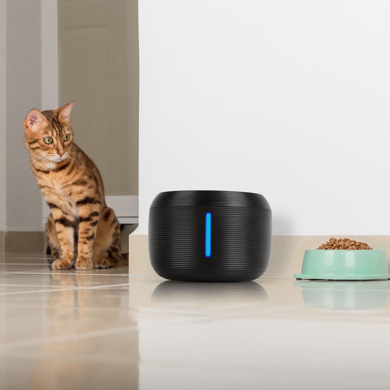 2.5L 84.54OZ Smart Pet Drinking Fountain with LED Light 7