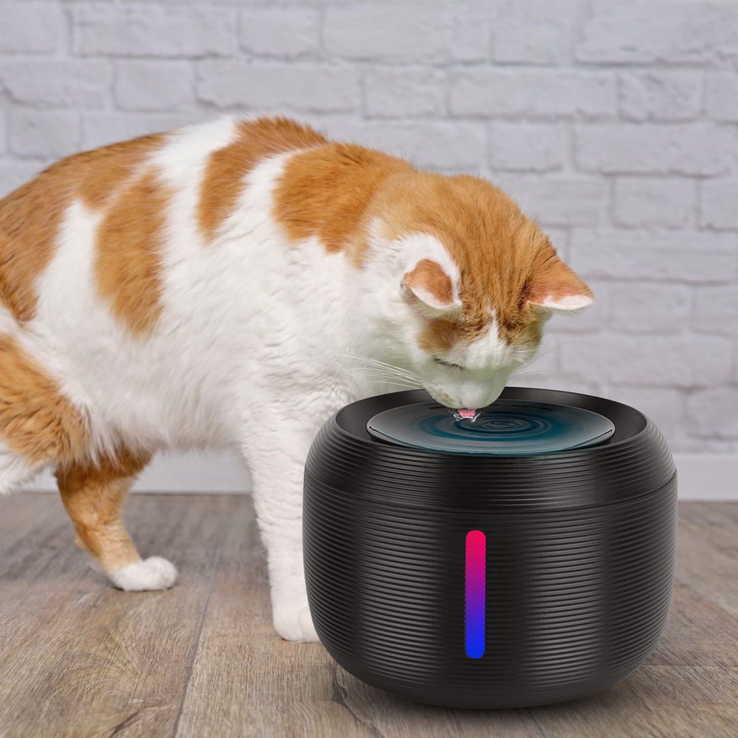 2.5L 84.54OZ Smart Pet Drinking Fountain with LED Light 7