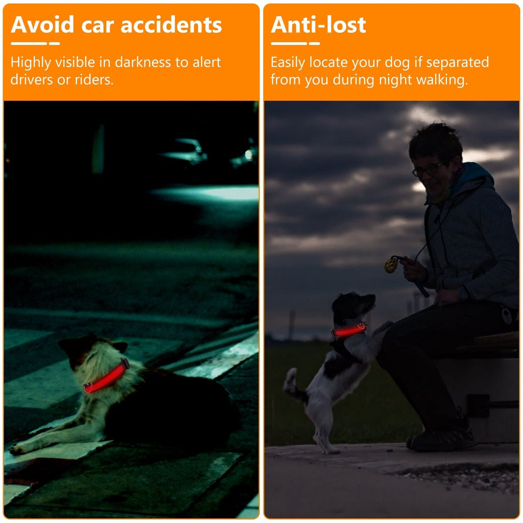 LED Dog Collar USB Rechargeable Adjustable Night Safety Flashing Luminous Light up