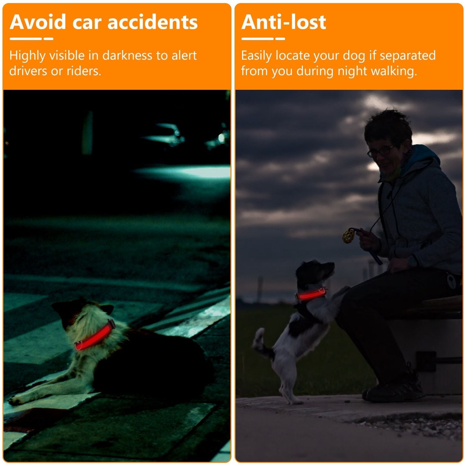 LED Dog Collar USB Rechargeable Adjustable Night Safety Flashing Luminous Light up