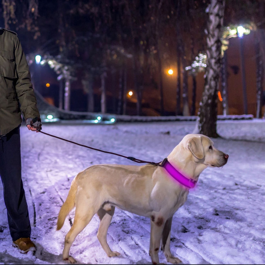 LED Dog Collar USB Rechargeable Adjustable Night Safety Flashing Luminous Light up
