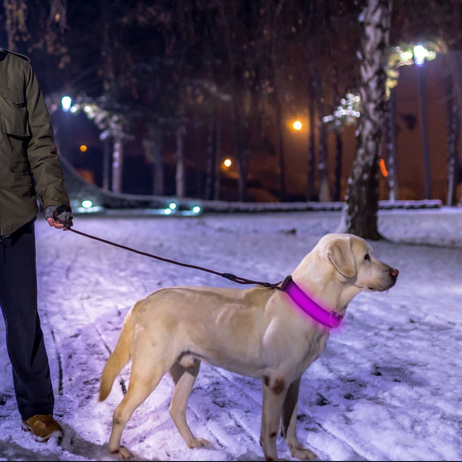 LED Dog Collar USB Rechargeable Adjustable Night Safety Flashing Luminous Light up