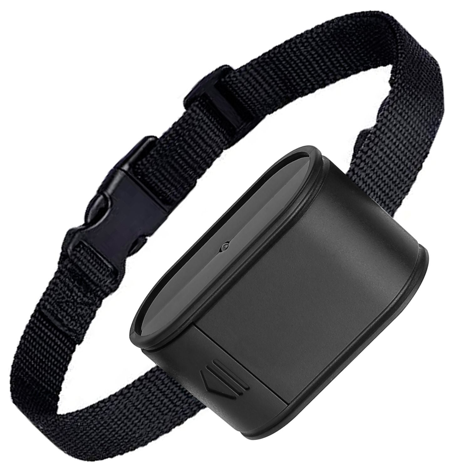 Electric Dog Fence System