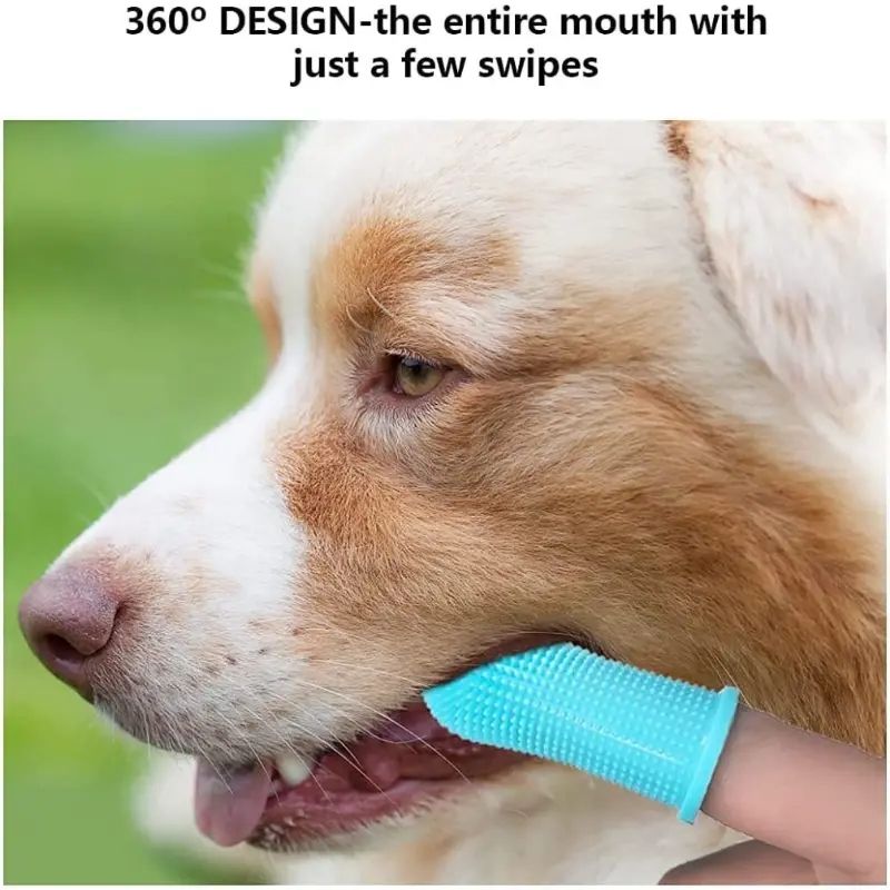 508060451